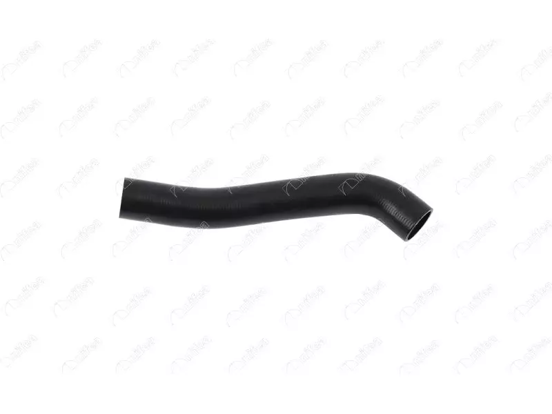 RADIATOR OUTLET HOSE