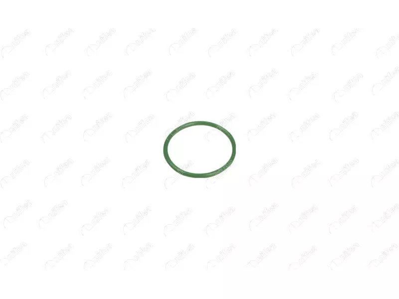 TURBO PIPE GASKET