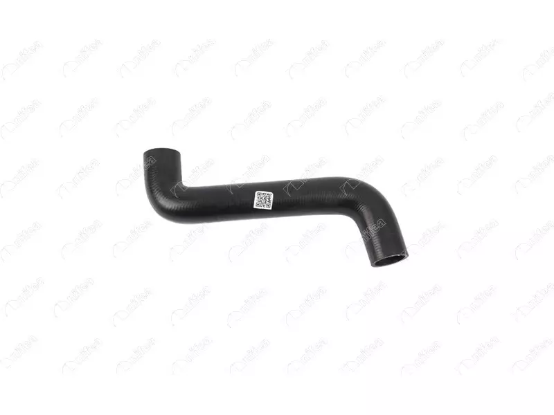 RADIATOR INLET HOSE
