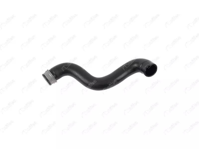 RADIATOR OUTLET HOSE