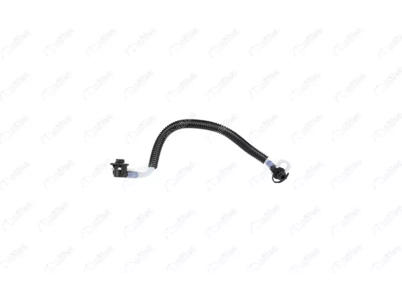 FUEL PIPE