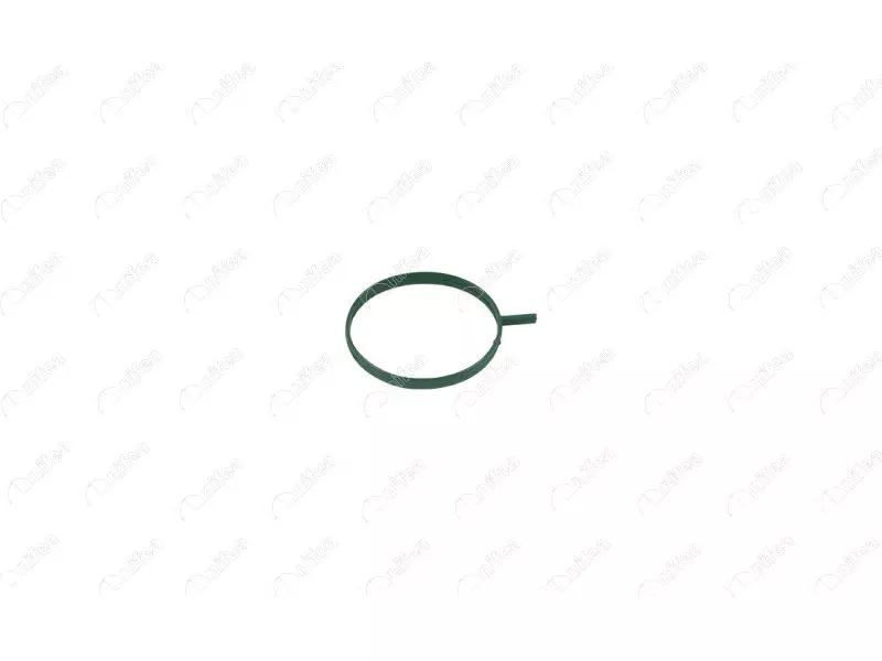 TURBO PIPE GASKET