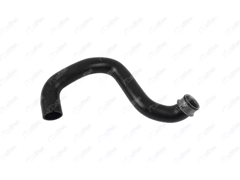 RADIATOR OUTLET HOSE