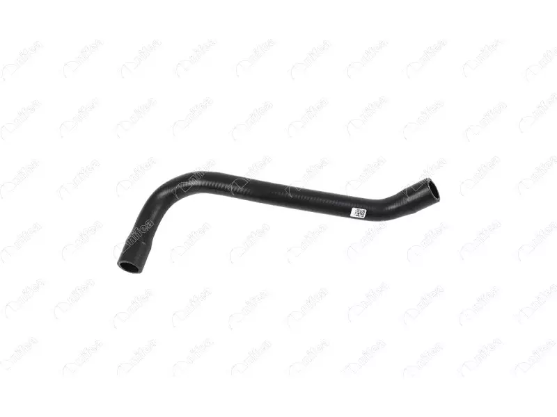 EGR HOSE