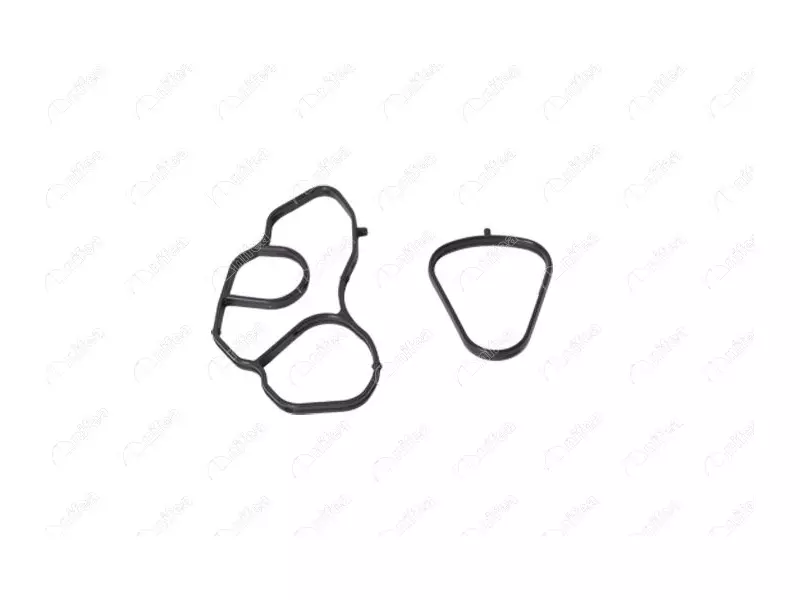 OIL FILTER GASKET