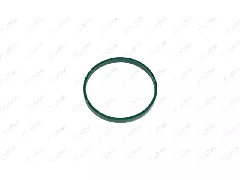THROTTLE GASKET