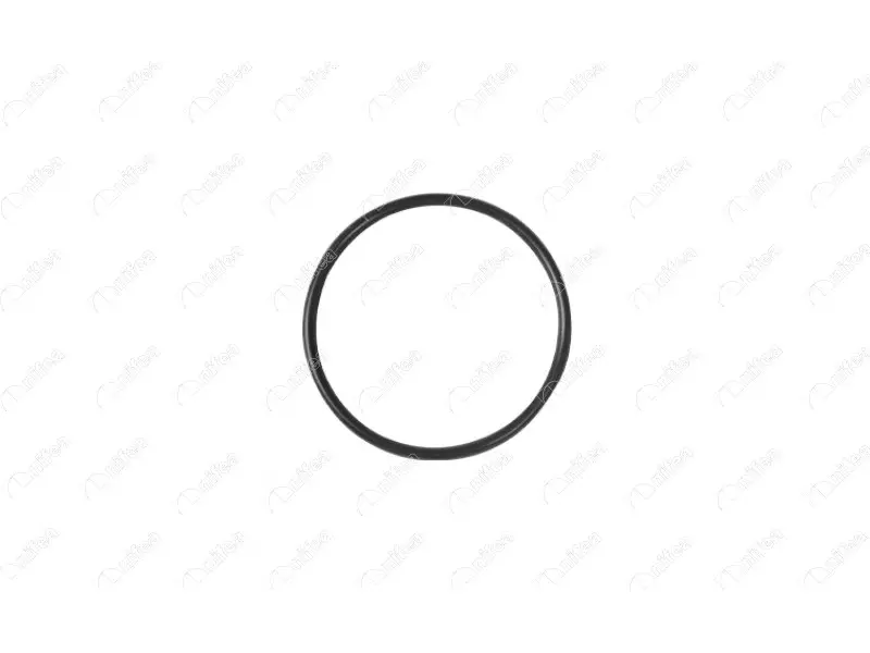 VACUUM PUMP SEAL