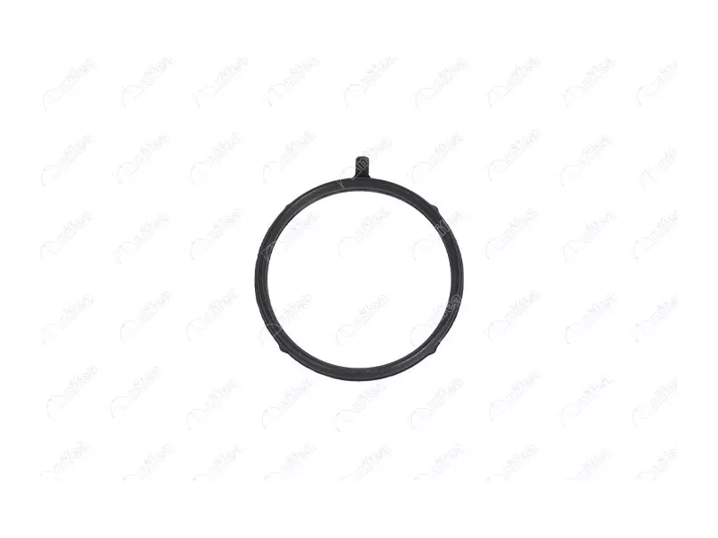 RECIRCULATION PIPE GASKET