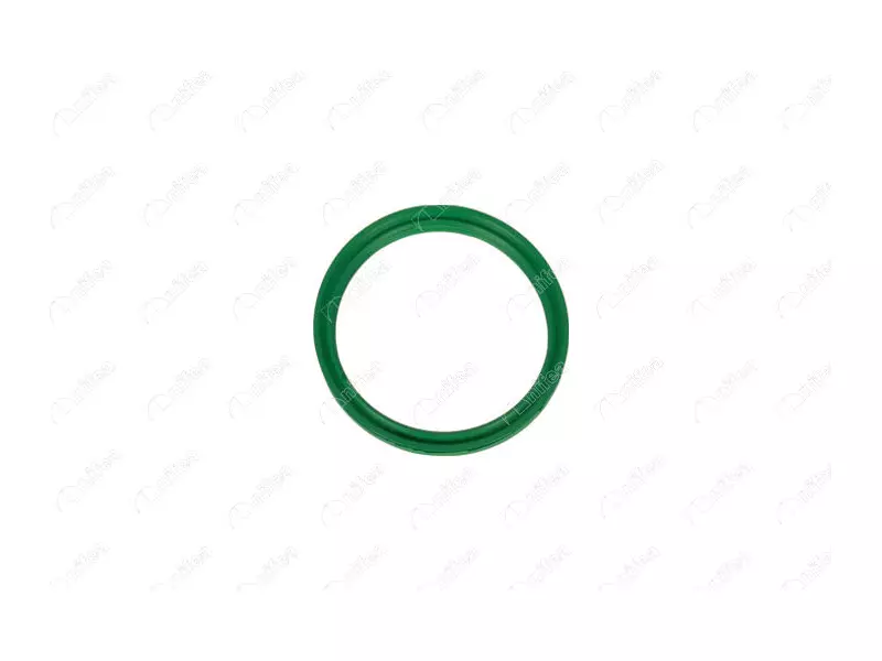 TURBO HOSE GASKET