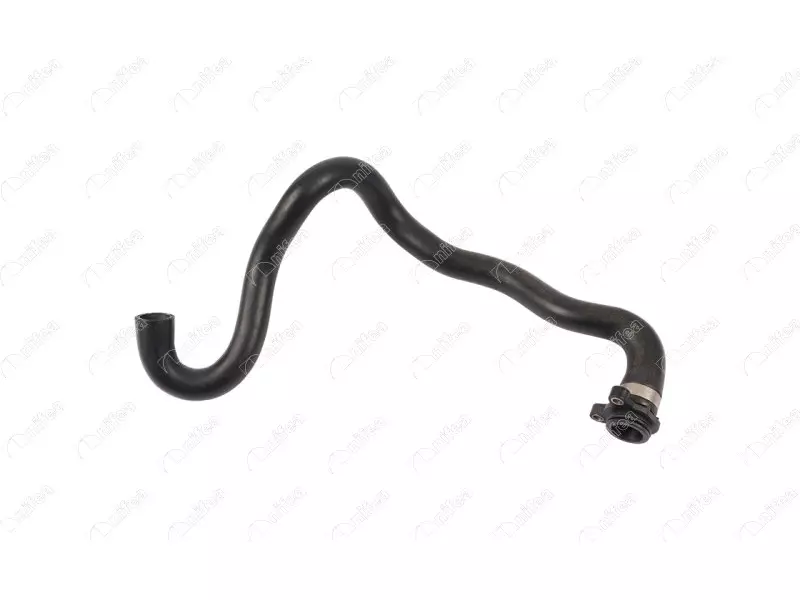 THERMOSTAT HOSE