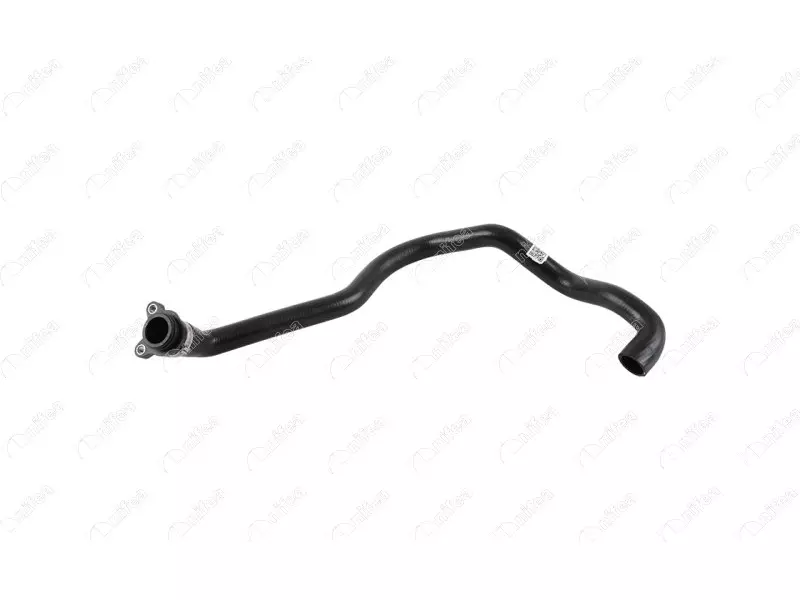 THERMOSTAT HOSE