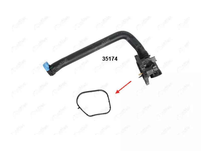 THERMOSTAT BODY GASKET
