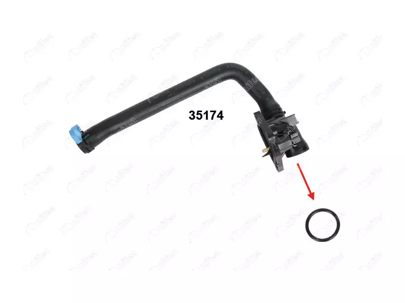 THERMOSTAT BODY GASKET