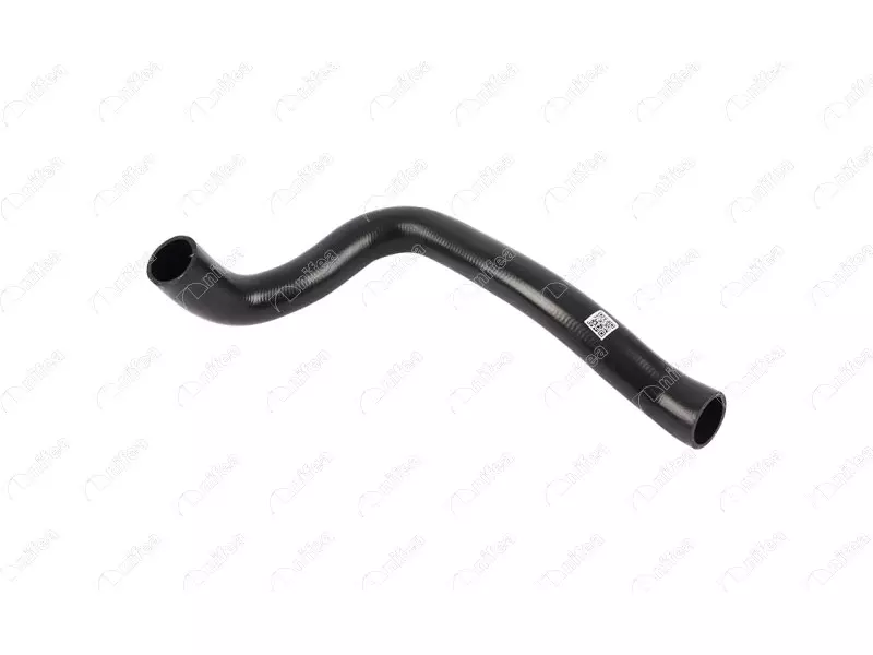 RADIATOR OUTLET HOSE
