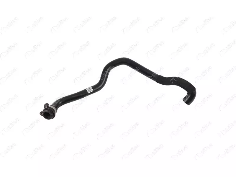 THERMOSTAT HOSE