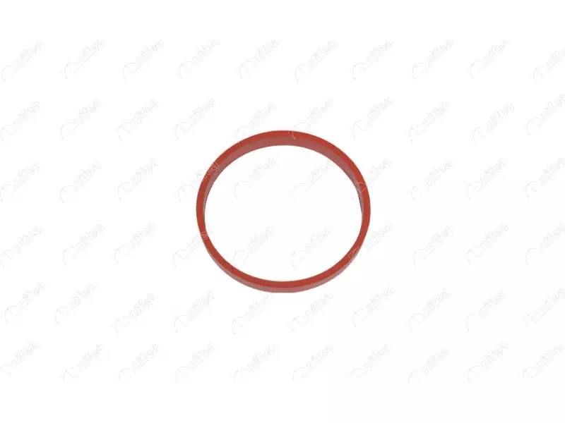 THROTTLE GASKET