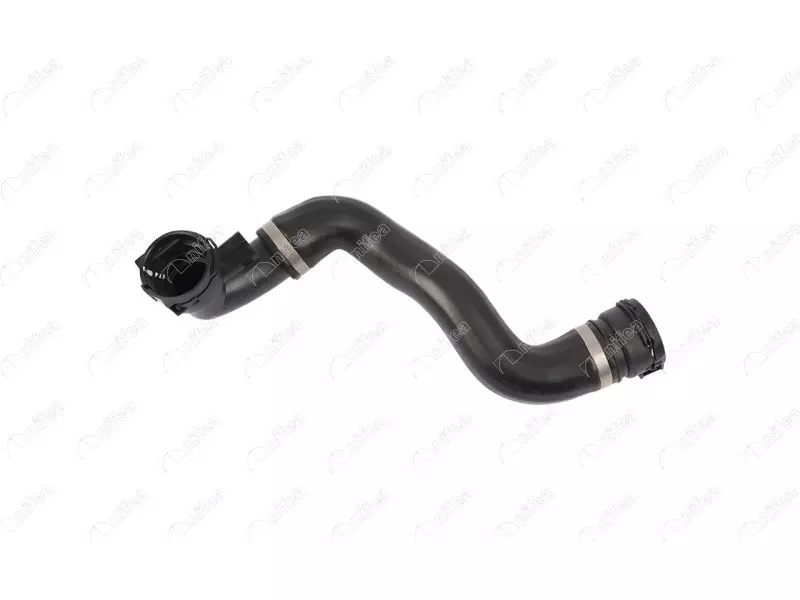 RADIATOR OUTLET HOSE