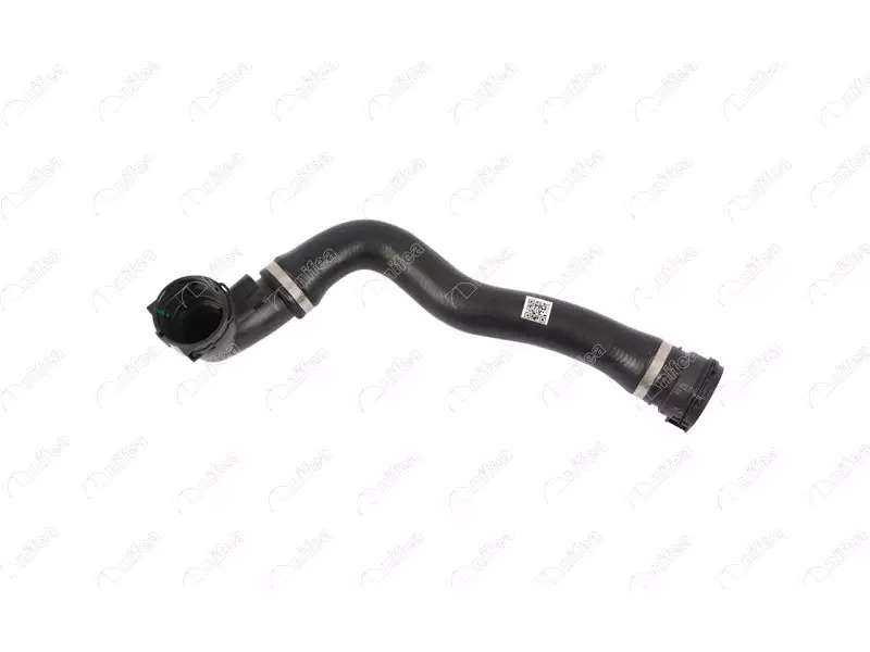 RADIATOR OUTLET HOSE