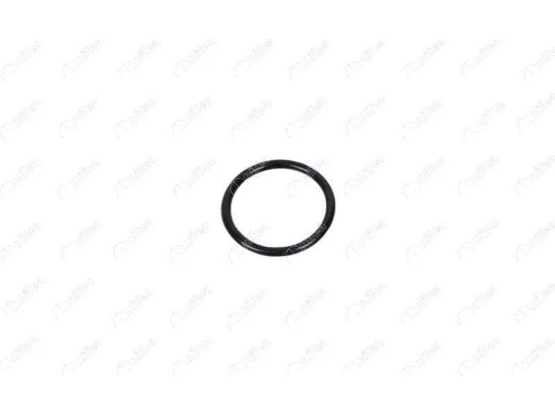 HEATER HOSE GASKET