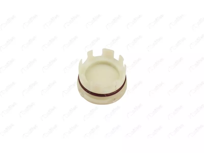 CYLINDER BLOCK PLUG