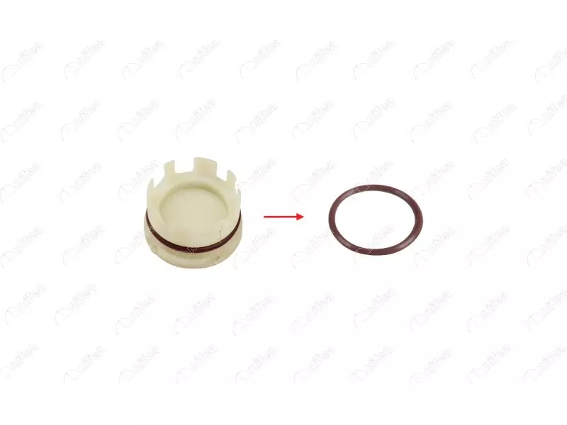 CYLINDER BLOCK PLUG GASKET