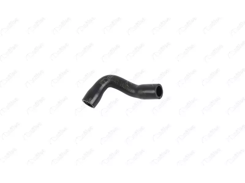 EGR HOSE