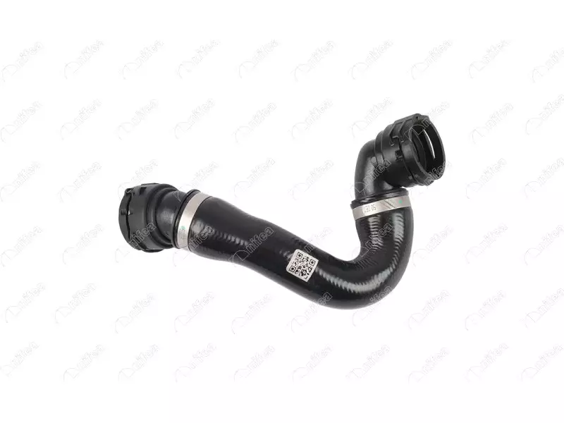 RADIATOR OUTLET HOSE