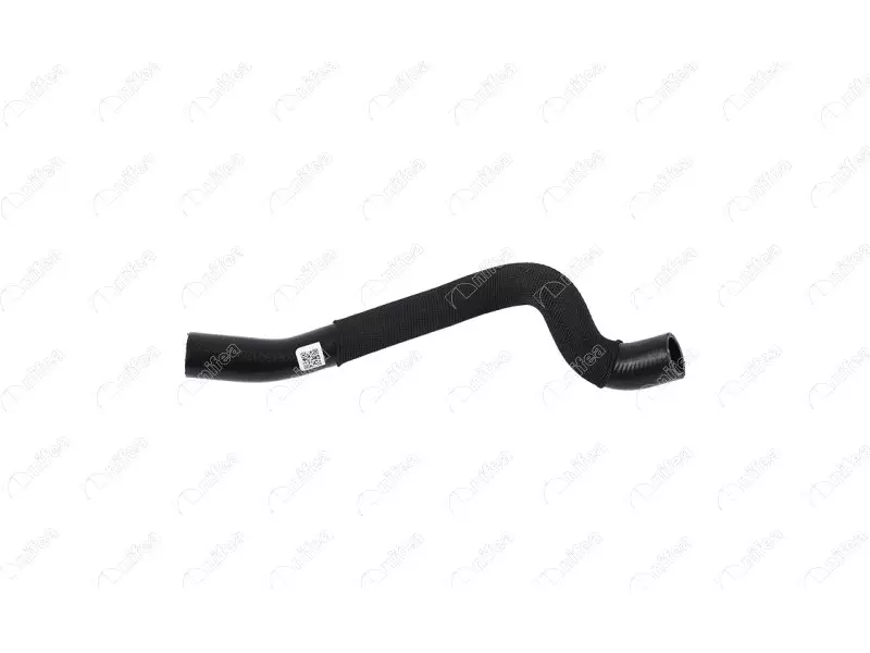 THERMOSTAT HOSE
