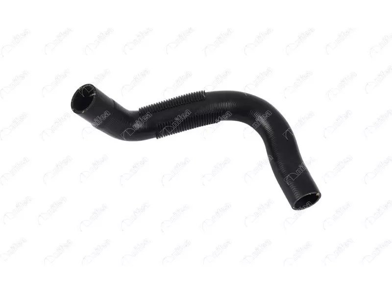 RADIATOR OUTLET HOSE