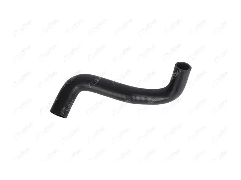 RADIATOR OUTLET HOSE