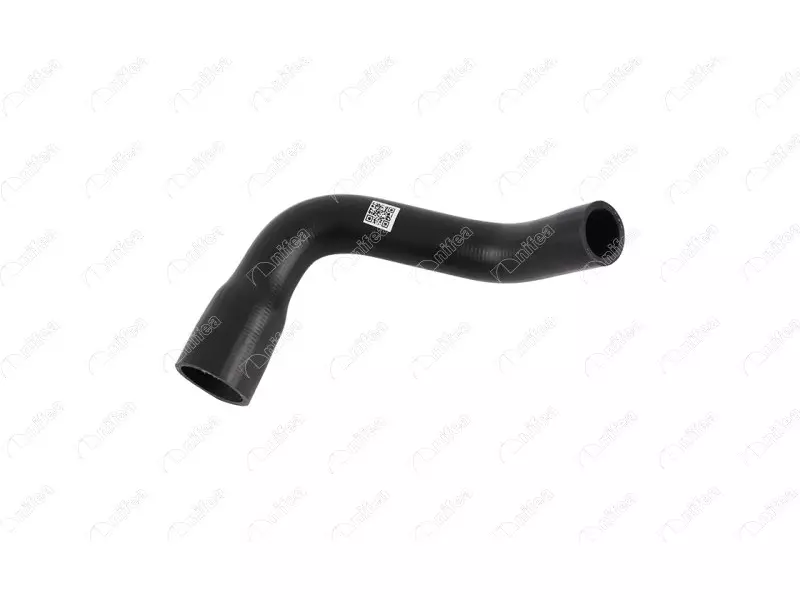 RADIATOR OUTLET HOSE
