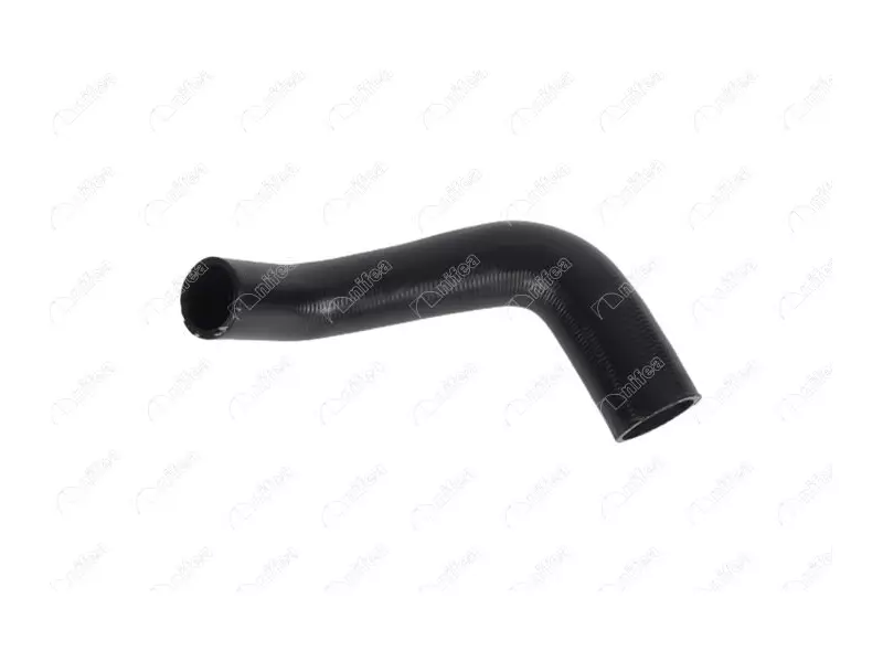 RADIATOR OUTLET HOSE
THE SPRING IS LOCATED INSIDE