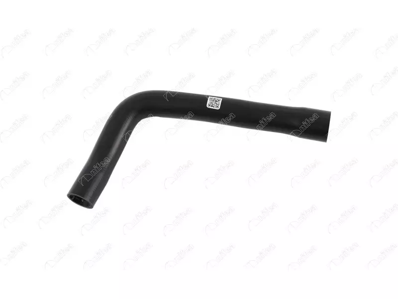 RADIATOR INLET HOSE