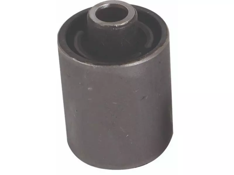 Rear bush for track control arm