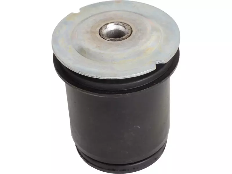Torsion bushing