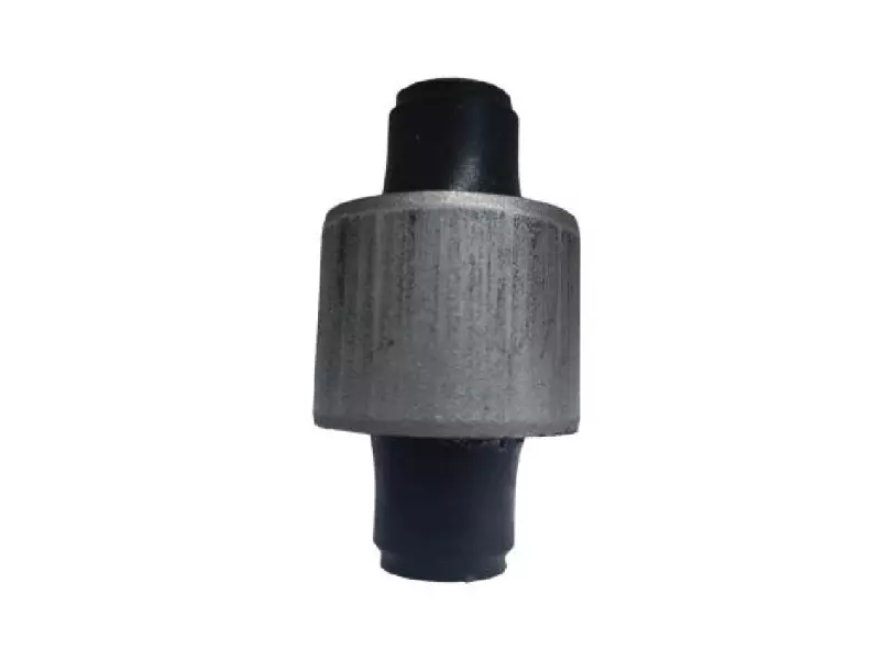 Bush for link stabilizer