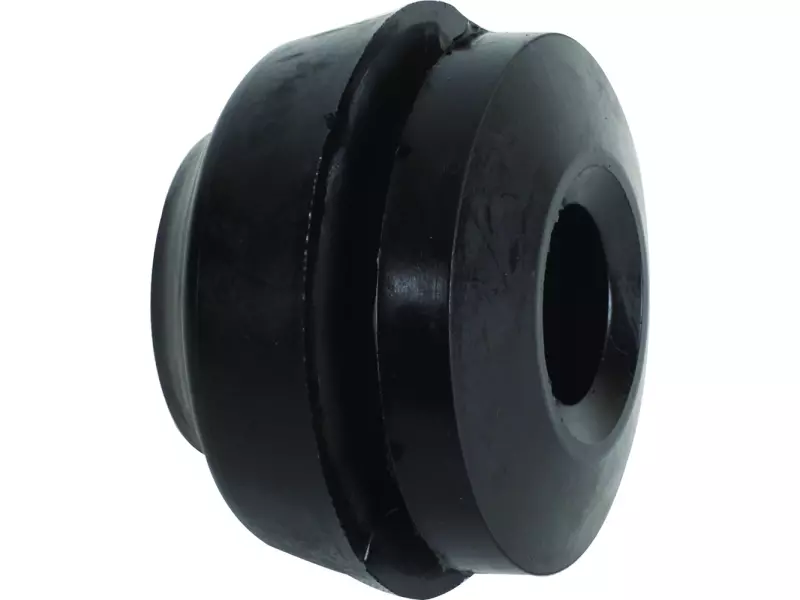Engine mounting, both side
