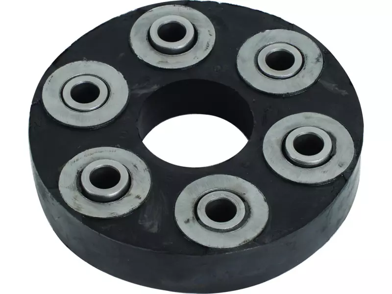 Flexible disc, rear