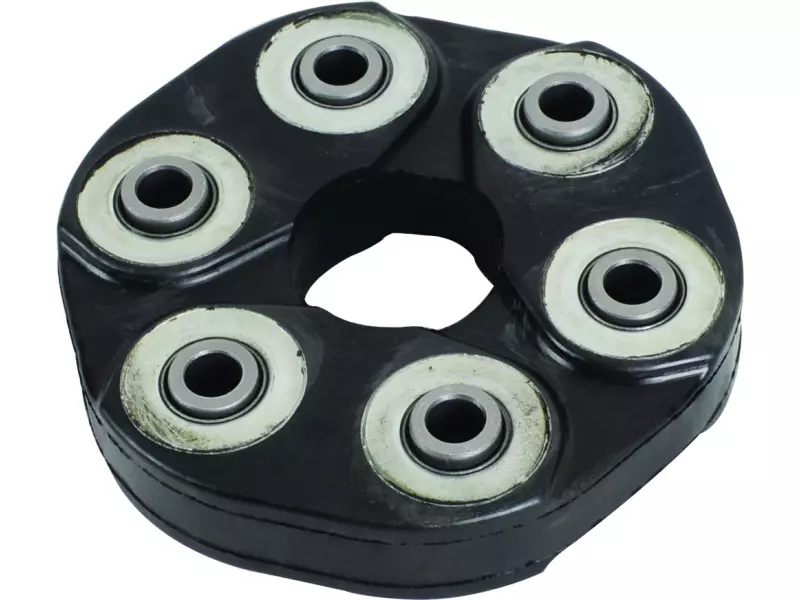 Flexible disc, rear