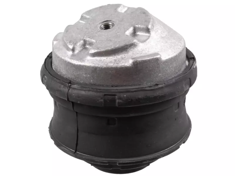 Engine mounting, front