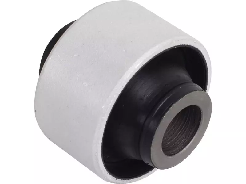 Bush for control arm