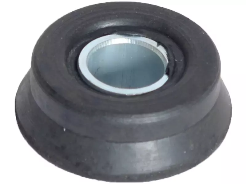 Trailing Arm Bushing