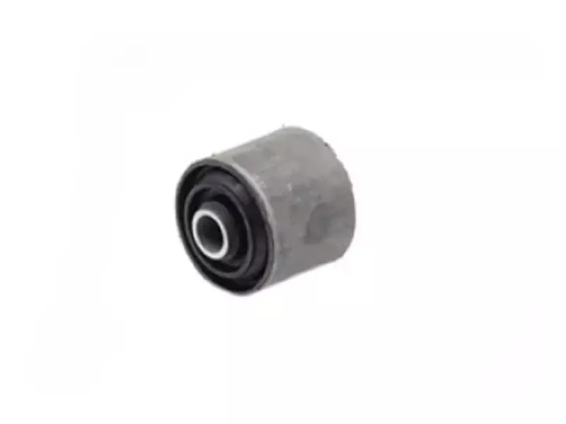 Control Arm/Trailing Arm Bush