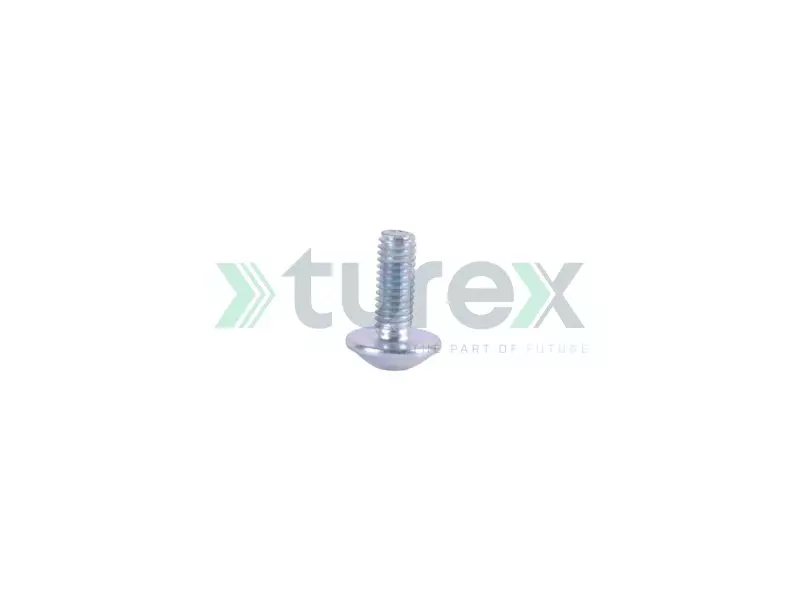Step Plate Screw (Pack of 25)