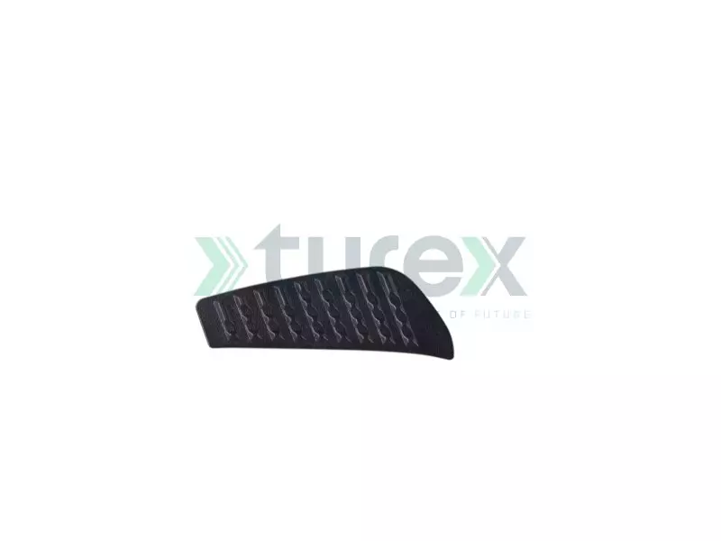 Step Plate Left Actros