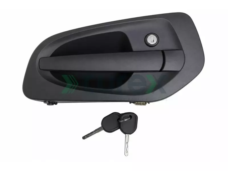 Door Handle (R)