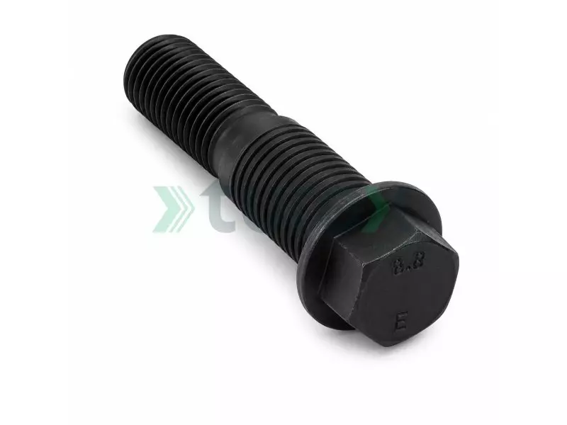 Screw / Bolt