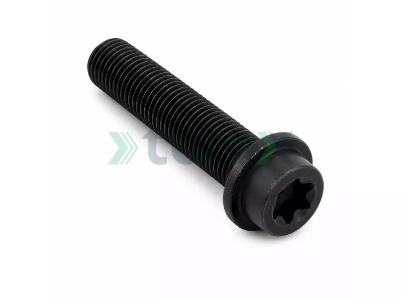 Screw / Bolt