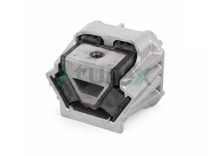 Engine Mounting Rear