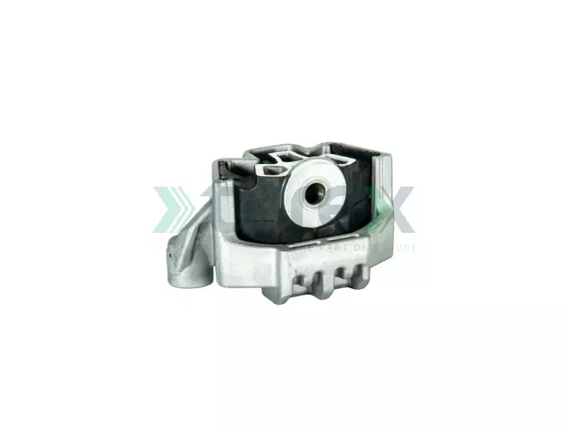 Engine Mounting Rear